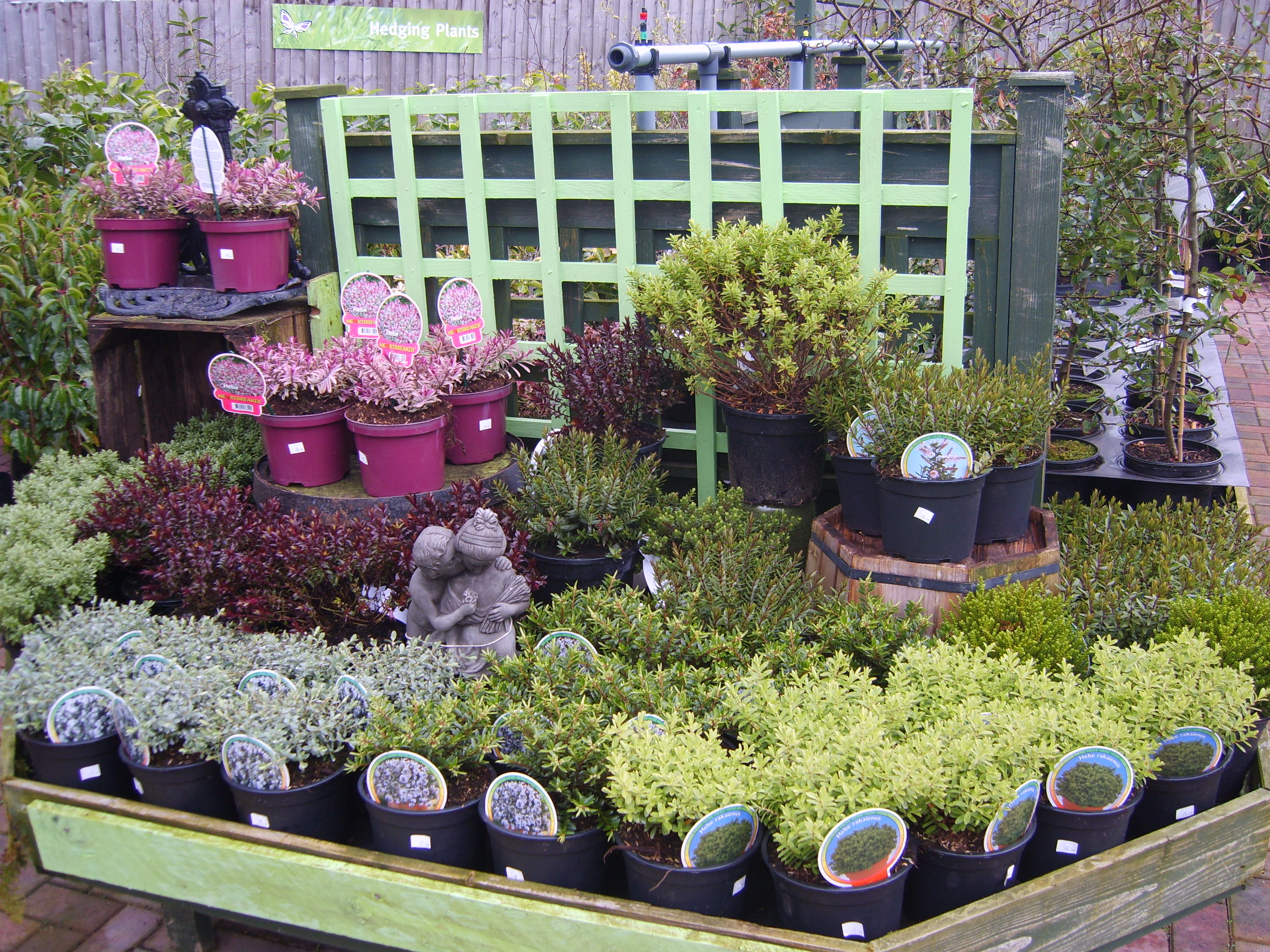 Photo Gallery February Insiration