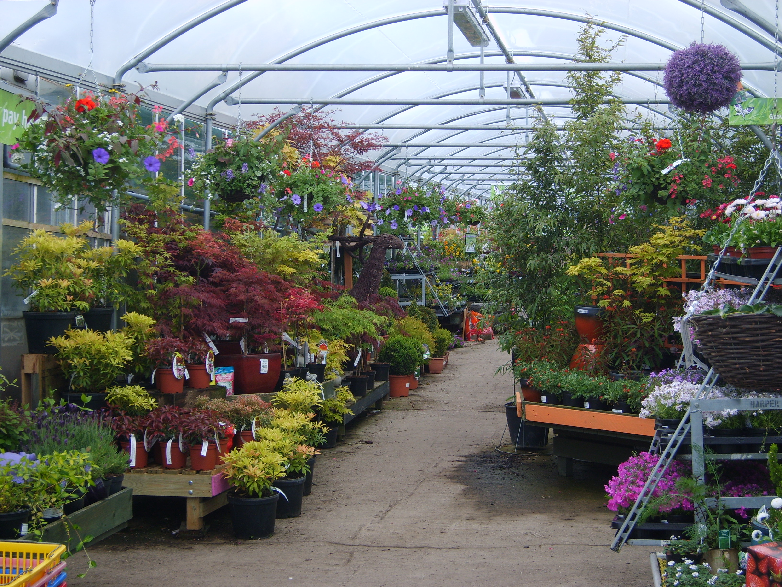 Photo Gallery May Insiration